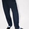 Pantalones de sastrería plisados de lana virgen Pantalones de sastrería plisados de lana virgen